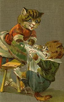Spills: Cat spilling water by g h Thompson