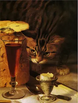 Morley: Cat on Table