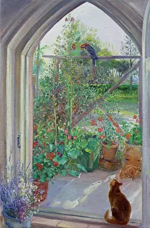 Easton: Cat and Trellis ? with parrot & plants
