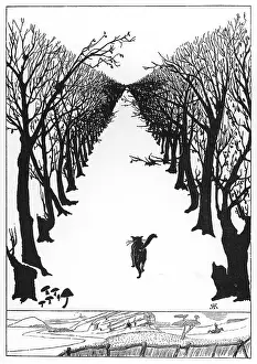 Walked: The Cat that walked by himself