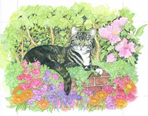 Sturdy: Cat on a wall surrounded by flowers