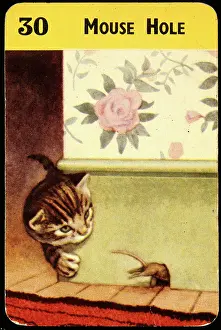 Escaping: Cat watching mouse entering mouse hole
