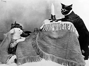 Vows: CAT WEDDING
