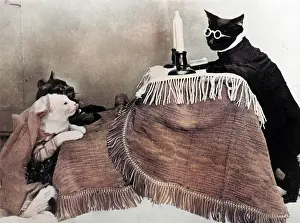 Vows: CAT WEDDING