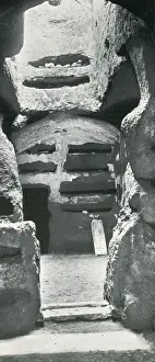 Skeletons: Catacombs