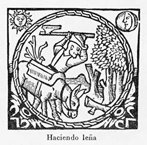 1511: Catalan Farmer Felling