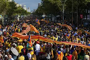 Barcelons: Catalan Way
