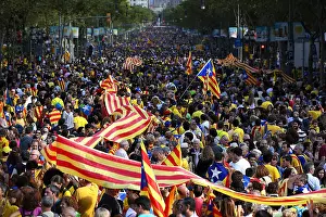 Barcelons: Catalan Way