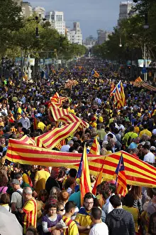 Barcelons: Catalan Way
