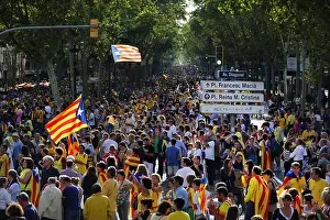 Barcelons: Catalan Way