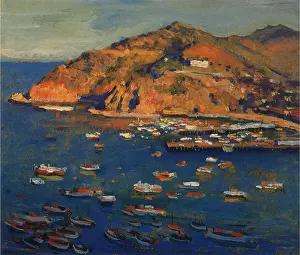 Skinner: Catalina