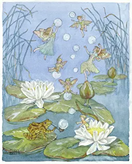 Waterlilies: Catch a Bubble - frog and fairies on waterlilies