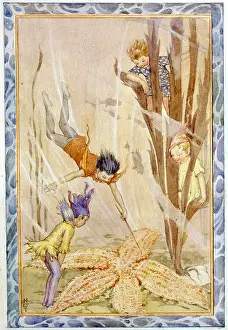 Poke: To Catch a Star (starfish)