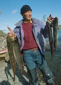 Displays: Catch of taimen in Yakutia, 1992