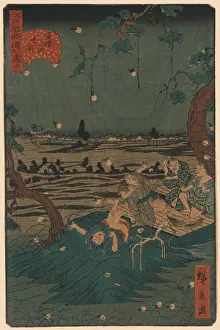 Fireflies: Catching fireflies at Mount Dokan