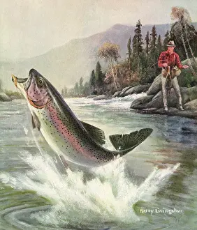 Reel: Catching a Fish