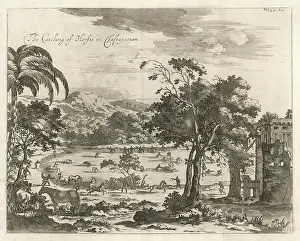 1671: CATCHING HORSES, CEYLON