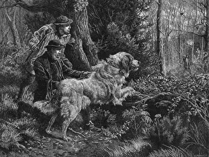 Catching a poacher