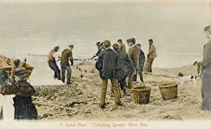 Haul: CATCHING SPRATS/BRIDPORT