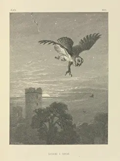 Tartar: Catching A Tartar