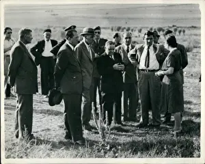Lidice: To Be Categorized