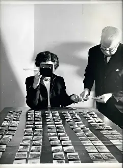 Stereoscope: To Be Categorized
