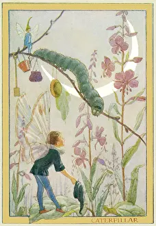 Caterpillar