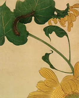 Stretches: Caterpillar on Leaves