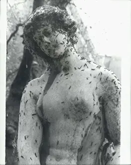 Lansdowne: Caterpillars on statue, Berkeley Square, London