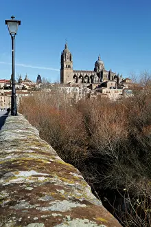 Plateresque: Cathedral of Salamanca