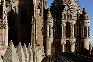 Plateresque: Cathedral of Salamanca