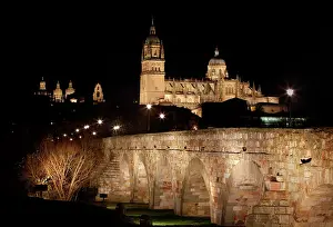Plateresque: Cathedral of Salamanca