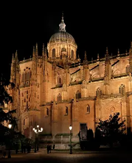 Plateresque: Cathedral of Salamanca, Spain