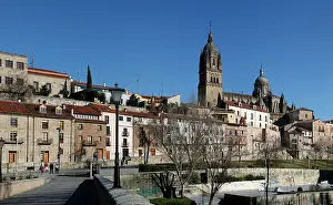 Plateresque: Cathedral of Salamanca, Spain
