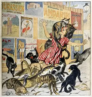 Montreuil: CATS ATTACK GIRL