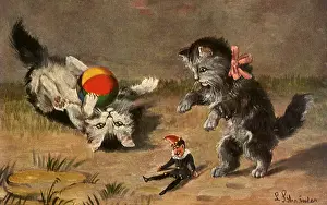 Multicolored: Cats, Ball and Doll