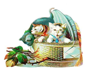 Yowling: Three cats in a basket on a Victorian scrap