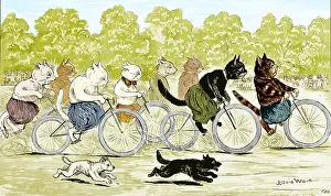 Kitsch: Cats in a Bicycle Race, Hyde Park, 1896