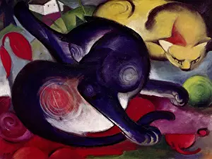 Gelb: Two Cats, Blue and Yellow