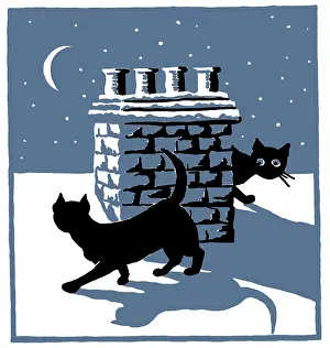 Two Colour: Two cats by chimney pot in the moonlight