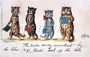 Amply: CATS CHORAL SINGING