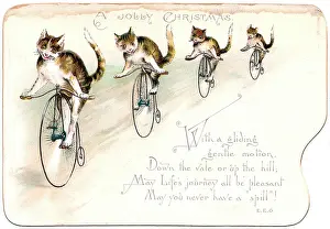 Pennyfarthing: Four cats on a Christmas card