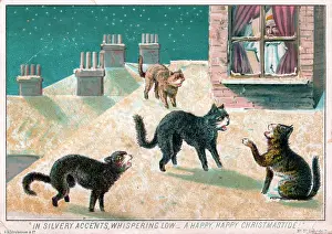 Disturbing: Four cats on a Christmas card