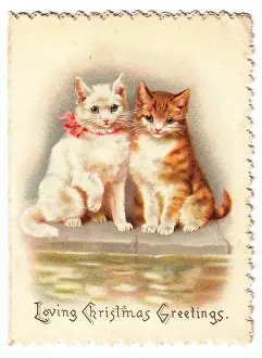 Serrated: Two cats on a Christmas card
