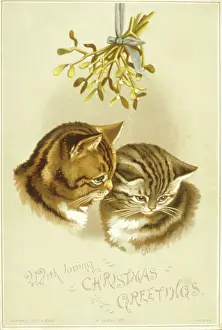 Mistletoe: Two cats under the Christmas mistletoe