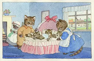 Pillows: Cats Cradle ? six kittens