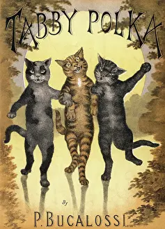 Meowing: Cats Dancing a Polka