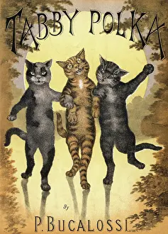 Meowing: Cats Dancing a Polka