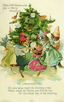 Pussies: Cats dancing round the Xmas tree