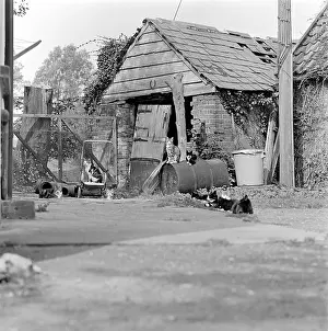 Shacks: Cats And Derelict Buildings